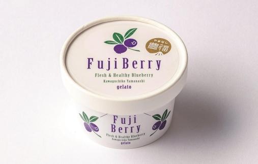 Fuji Berry ブルーベリーアイス食べ比べセット（小）