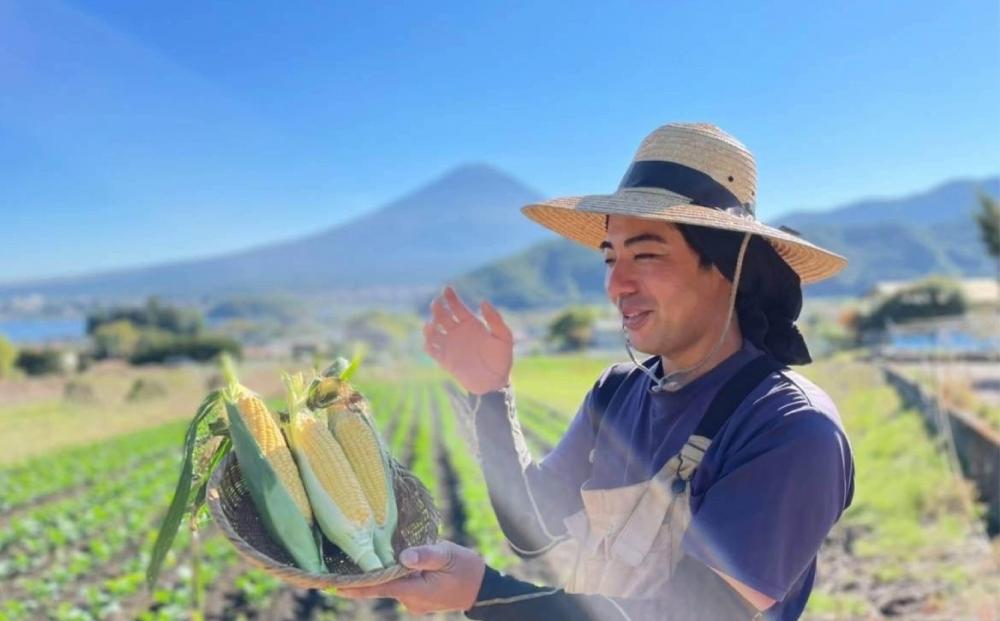 【富士山の麓で育つ】河口湖町産Inakakara「ゴールドラッシュ」6本