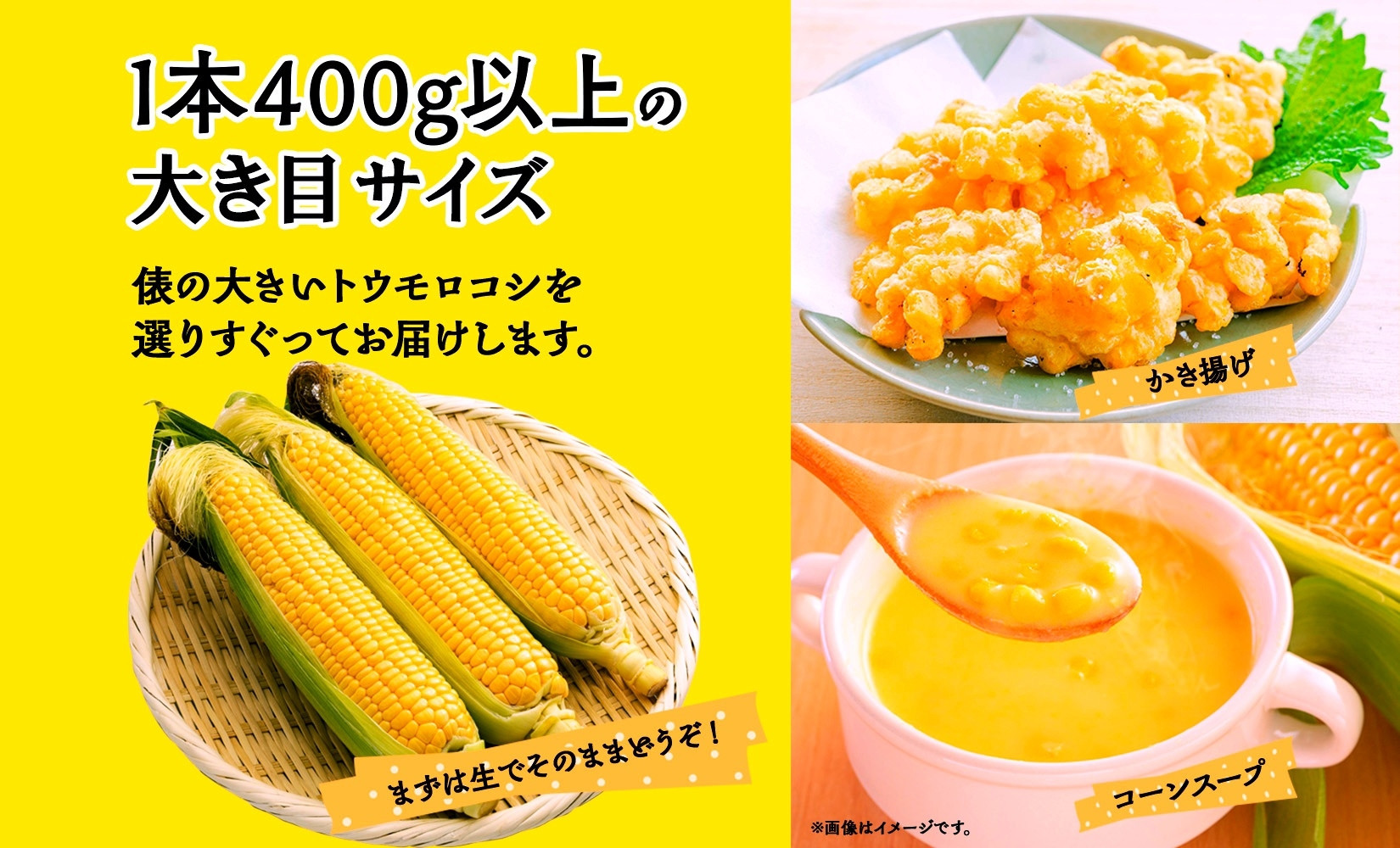 とうもろこし 恵味 ゴールド 400g以上×12本 計4.8kg以上 高糖度 トウモロコシ スイートコーン 玉蜀黍 イエローコーン 黄 夏野菜 甘い ジューシー 野菜 おやつ 旬 産地直送 送料無料 湖南野菜出荷組合 山梨県 富士河口湖町