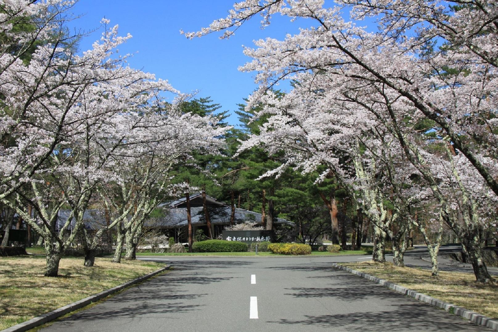 富士桜カントリー倶楽部 2025年シーズン利用券60,000円