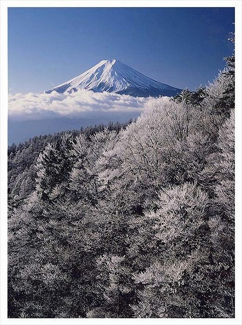 (全倍版)富士山写真大賞 額装写真「輝く凍樹　三つ峠より」(額装サイズ約780×1050mm)