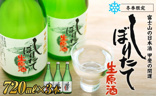 甲斐の開運 しぼりたて生原酒 720ml×3本  期間限定 新酒 ＜富士山の日本酒＞【井出醸造店】