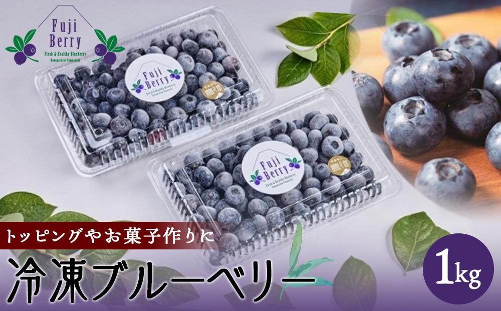 Fuji Berry 急速冷凍ブルーベリー1kg