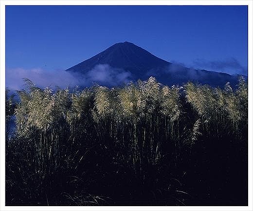 (全倍版)富士山写真大賞 額装写真「初秋の詩　河口湖大石公園」(額装サイズ約780×1050mm)