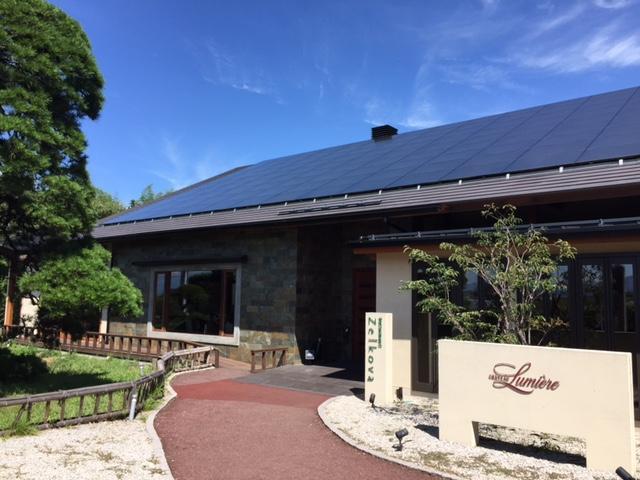 繝ッ繧、繝ウ螳壽悄萓ソ 繝上シ繝輔さ繝シ繧ケ 繝励Λ繧ケ