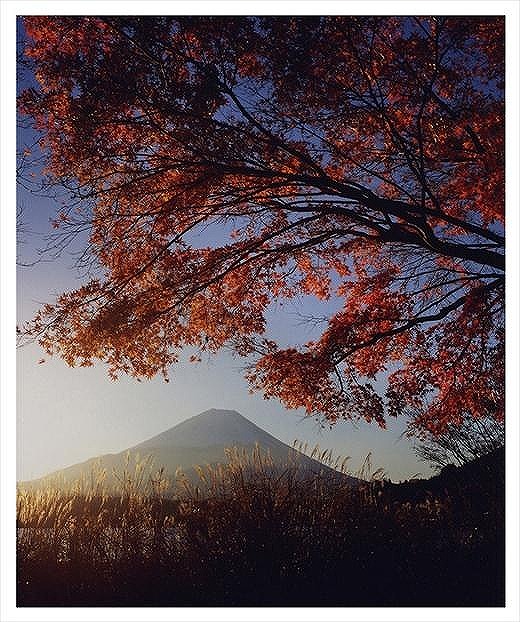 (全倍版)富士山写真大賞 額装写真「晩秋　精進湖にて」(額装サイズ約780×1050mm)