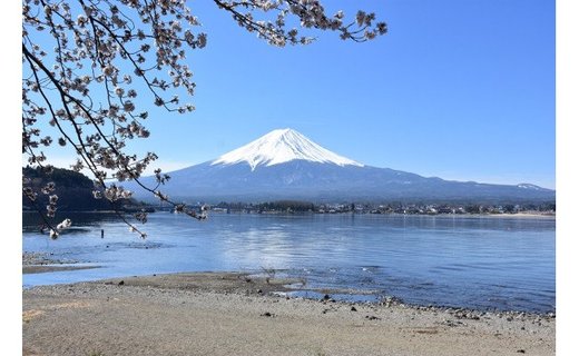 【河口湖畔の音楽ホール】河口湖円形ホール ホール1日貸し切り ベーゼンドルファーピアノ使用権付き