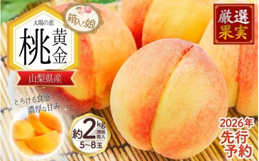 朝もぎ直送「黄金桃」5～8玉 約2kg規格箱入り【高機能共選機使用】選び抜かれた桃《もも 先行予約》 2026年 夏 発送 山梨県産 モモ/ フルーツ 果物 くだもの 人気 産地直送/厳選  贈答 贈り物【tab0098】