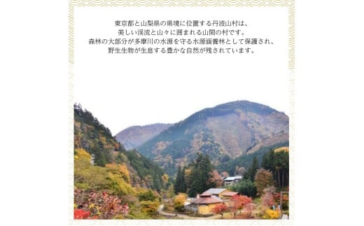 丹波山「鮎めし」 鮎 炊き込みご飯の素 2種 1セット 合計2パック  1パック=2合用 簡単 調理 炊き込み 国産 本格 グルメ 送料無料 ふるさと納税【tab0238-02】