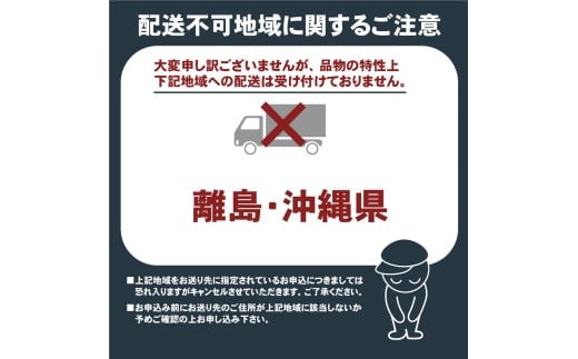 ã²ã®ã ãšãã»ã³ã·ã£ã«ãªã€ã« 倧容é 100ml (50mlç¶2æ¬) ïŒ ïŒmlå°ç¶ ïŒ ã¢ãããã£ãã·ã¥ ã»ããïŒ ã¢ãããªã€ã« æª ããã åœç£ãtab0236ã