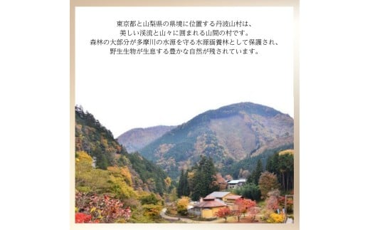 GEEKSTILL 舞茸スピリッツ ＋ 舞茸だしパック セット だし割 丹波山産 原木舞茸 ボタニカル 国産 ボタニカル お酒 蒸留酒 宅飲み 家飲み 晩酌 ギフト プレゼント 贈り物 父の日 送料無料 ふるさと納税【tab0239】