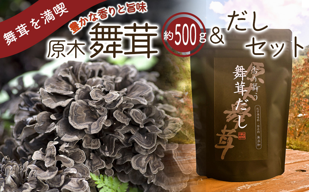 【先行予約】【2025年秋発送】丹波山村産原木舞茸500g+舞茸だし(8g x6袋)セット 2025年秋頃より順次発送予定