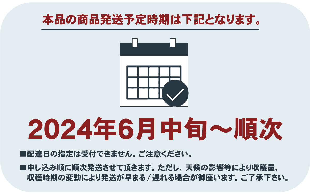 朝もぎ直送！『桃　白鳳系』5〜8玉 【高機能共選機使用】選び抜かれた桃《もも 先行予約》　山梨県産 モモ/ フルーツ 果物 くだもの 人気 産地直送/厳選  贈答 贈り物 6月