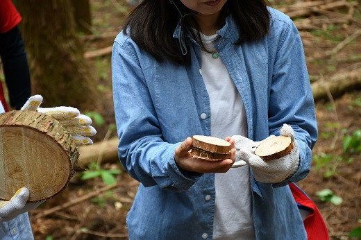 【多摩川の源流で間伐体験】体験コース