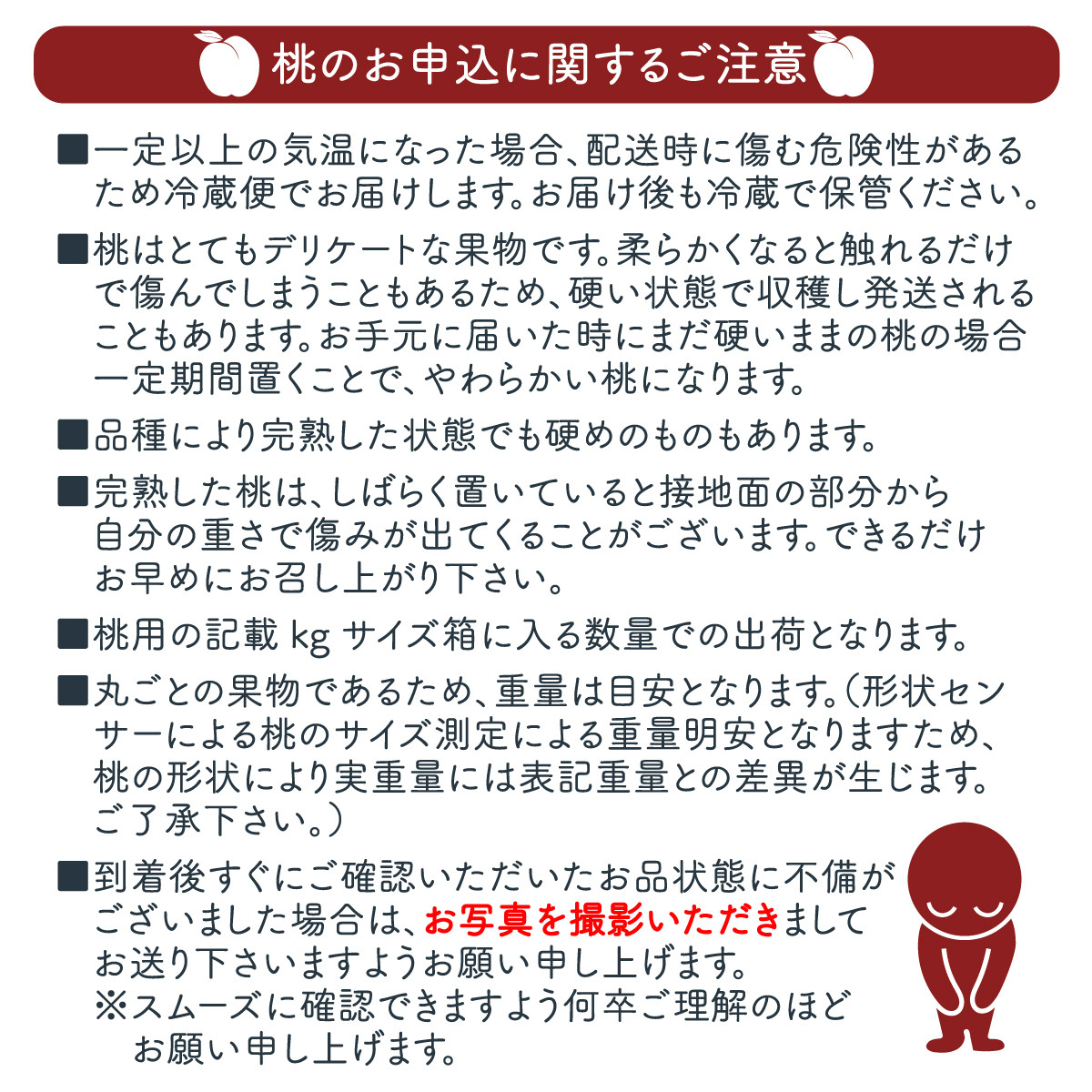 朝もぎ直送！『桃　白鳳系』5〜8玉 【高機能共選機使用】選び抜かれた桃《もも 先行予約》　山梨県産 モモ/ フルーツ 果物 くだもの 人気 産地直送/厳選  贈答 贈り物 6月