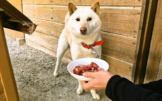 捕獲後2時間以内に解体！ 新鮮ペット用鹿肉400g (200g x2パック)