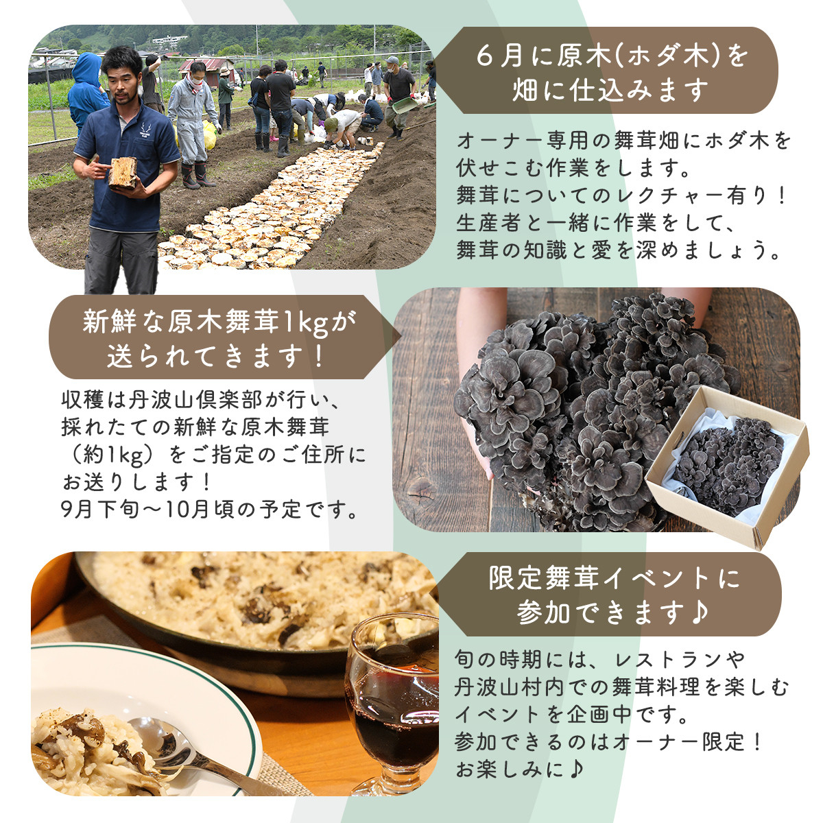 【先行予約】【舞茸約1kg付きの体験イベント】2024年舞茸オーナー制度＆畑づくり体験