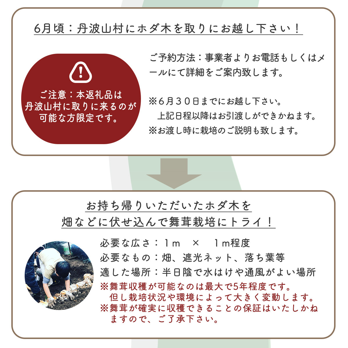 【村に取りに来られる方限定】丹波山村の原木舞茸のほだ木販売 10本 原木舞茸を自分で育ててみませんか