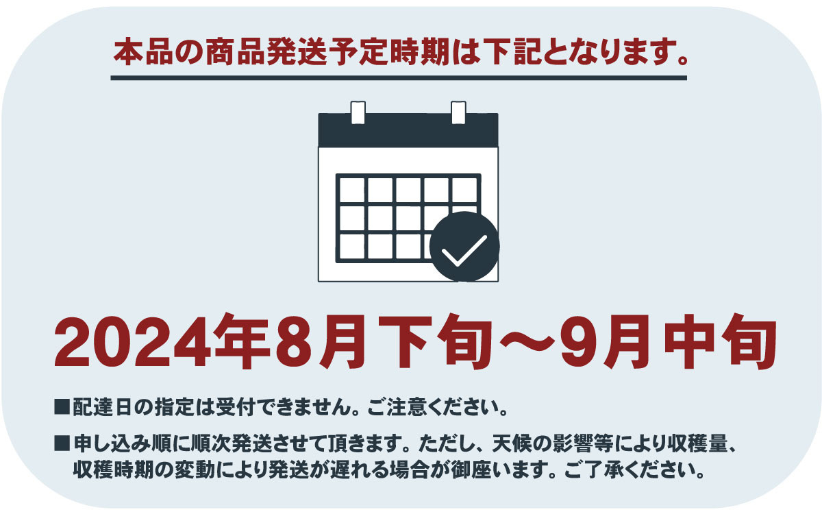 朝もぎ直送！『白桃系さくら』5〜8玉【高機能共選機使用】選び抜かれた桃《もも 先行予約》　山梨県産 モモ/ フルーツ 果物 くだもの 人気 産地直送/厳選  贈答 贈り物