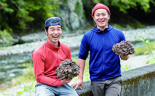 【先行予約】【2025年秋発送】丹波山村産原木舞茸500g+舞茸香油110g洋風セット 2025年秋頃より順次発送予定