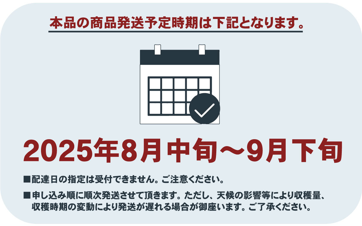 【2025年先行予約】朝もぎ直送！『種なしピオーネ』３～５房（約２kg規格箱入り）《ぶどう 先行予約》産地直送 フルーツ 果物 くだもの 甘い 旬 新鮮 朝採れ ジューシー 種無し  送料無料  山梨 やまなし 歴史と伝統を受け継ぐ達人のこだわり葡萄