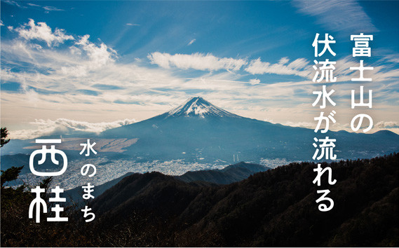 高級織物傘【婦人長傘】黄茶系・穏やかなやさしさのある優雅な晴雨兼用傘 ／ 雨具 雨傘 山梨県【西桂町共通返礼品】