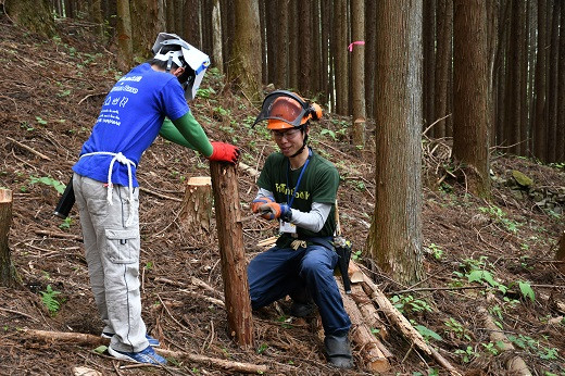 【多摩川の源流で間伐体験】体験コース