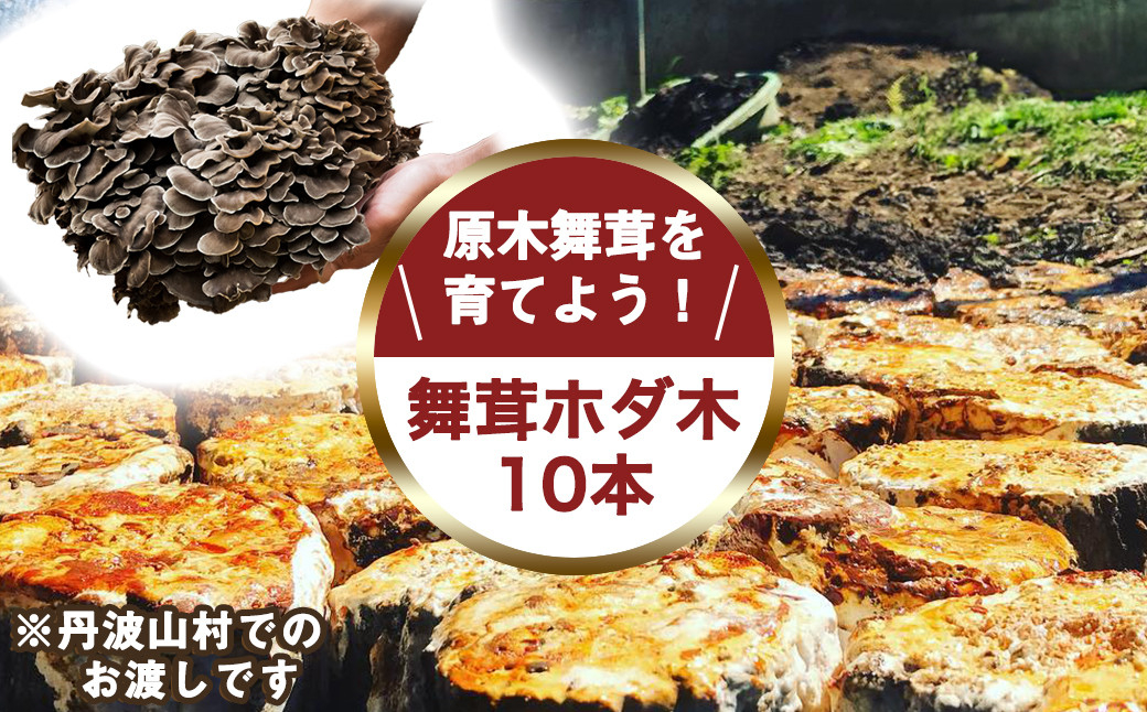 【村に取りに来られる方限定】丹波山村の原木舞茸のほだ木販売 10本 原木舞茸を自分で育ててみませんか