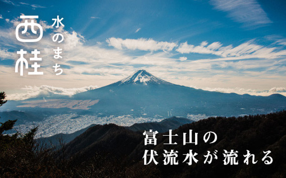 【ロイヤルブルー】ふんわりシルクカシミヤストール ／ ファッション 織物 染物 山梨県【西桂町との共通返礼品】