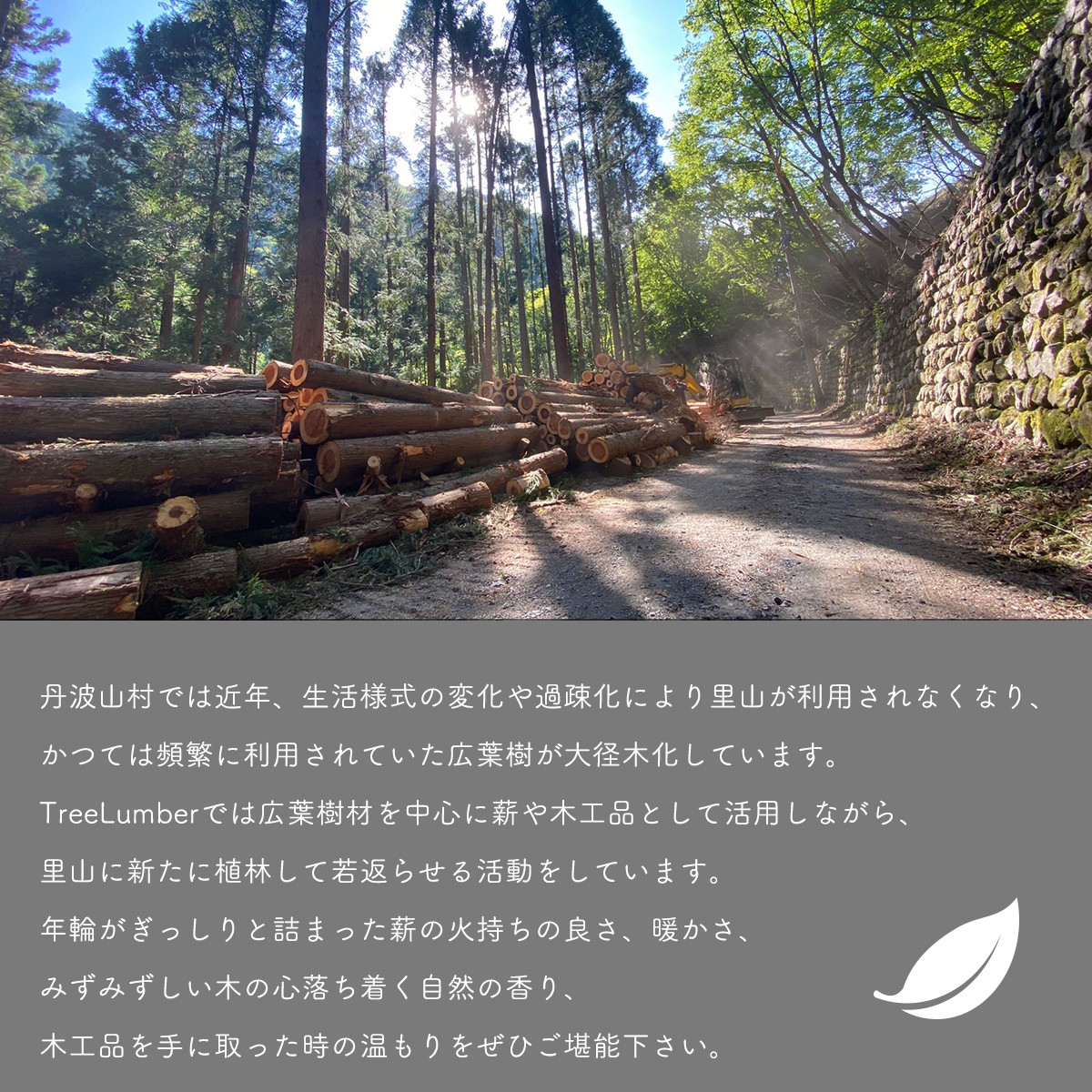 æªã¢ããã¹ãã¬ãŒã»ããïŒããã¥ã©ã«é€èã¹ãã¬ãŒãããã»ãããããŒããŠã©ãŒã¿ãŒïŒ