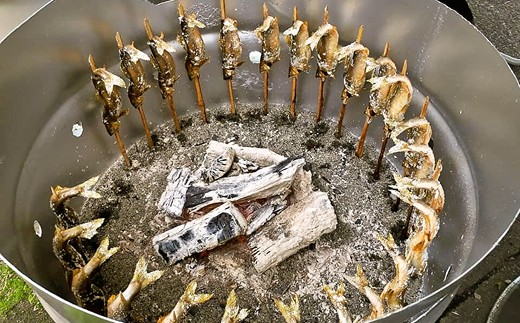 【2026年分】年間遊漁券 アユ釣り 女性・中学生以下の男性【tab0047】