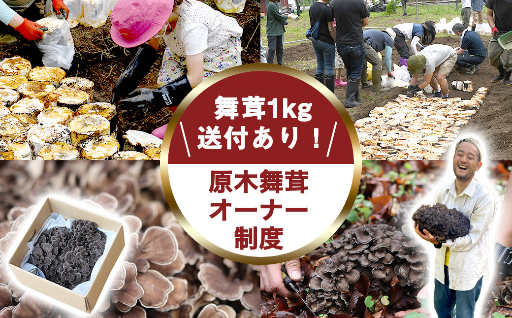 【先行予約】【舞茸約1kg付きの体験イベント】2026年舞茸オーナー制度＆畑づくり体験【tab0200】