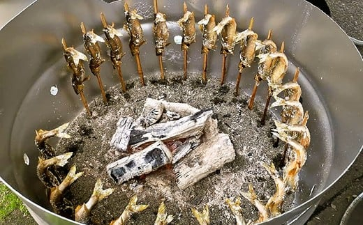 【2026年分】年間遊漁券 アユ釣り 男性【tab0046】