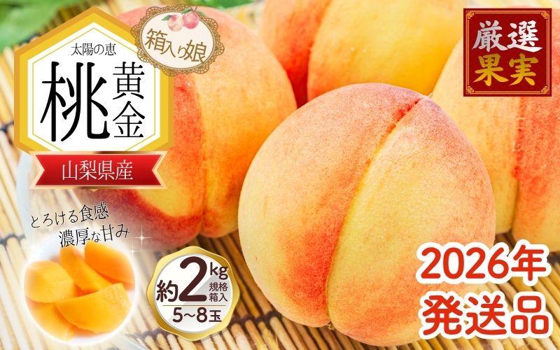 2026年最終出荷!! 朝もぎ直送「黄金桃」5～8玉 約2kg規格箱入り【高機能共選機使用】選び抜かれた桃 2026年 発送 山梨県産 モモ/ フルーツ 果物 くだもの 人気 産地直送/厳選  贈答 贈り物【tab0098】