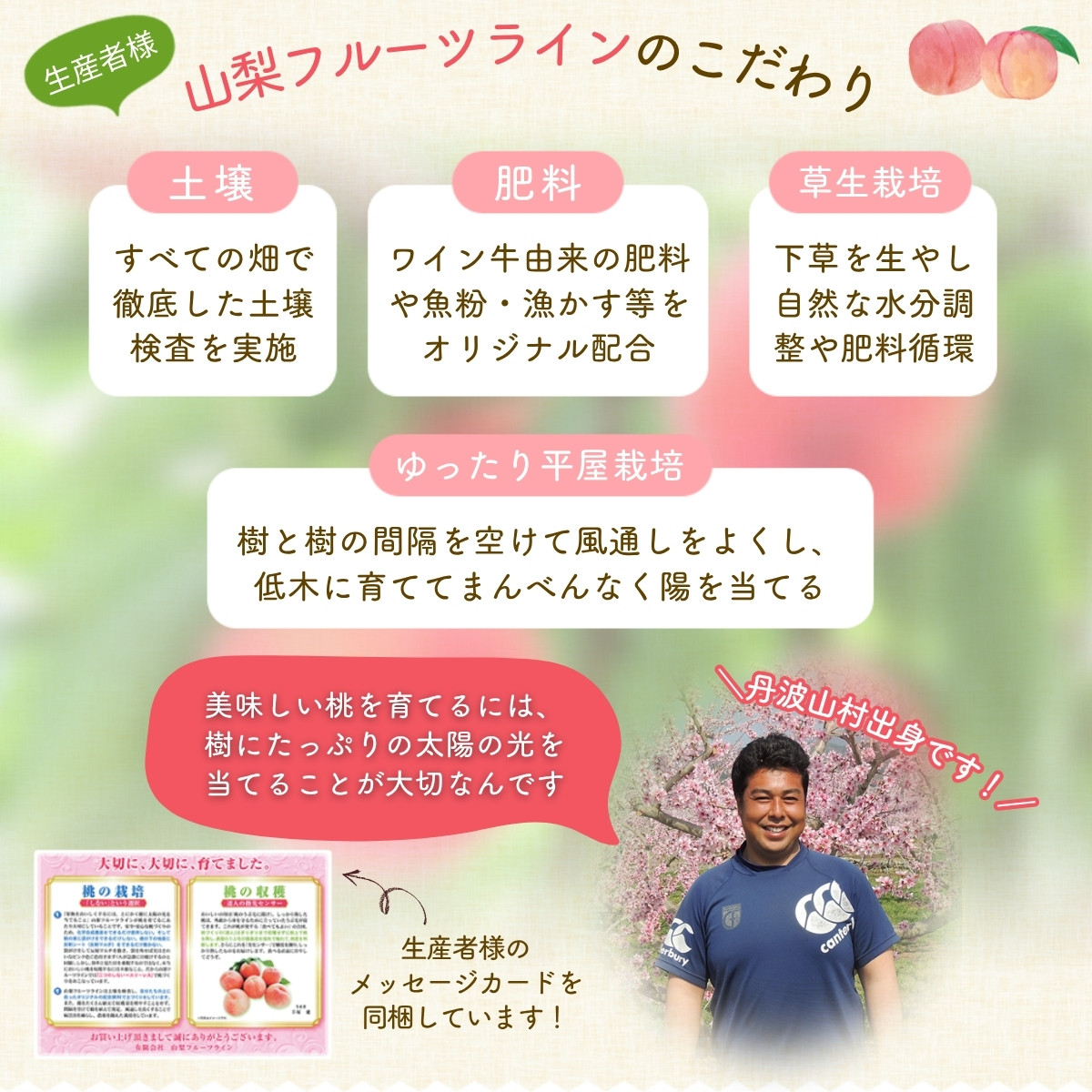 【先行予約】朝もぎ直送！『  桃 白鳳 系  』 5～8玉 約2kg規格箱入り  選び抜かれた 桃 山梨県産 モモ 白鳳 フルーツ 果物 くだもの 人気 産地直送 厳選 贈答 贈り物 甘い 予約【tab0096】