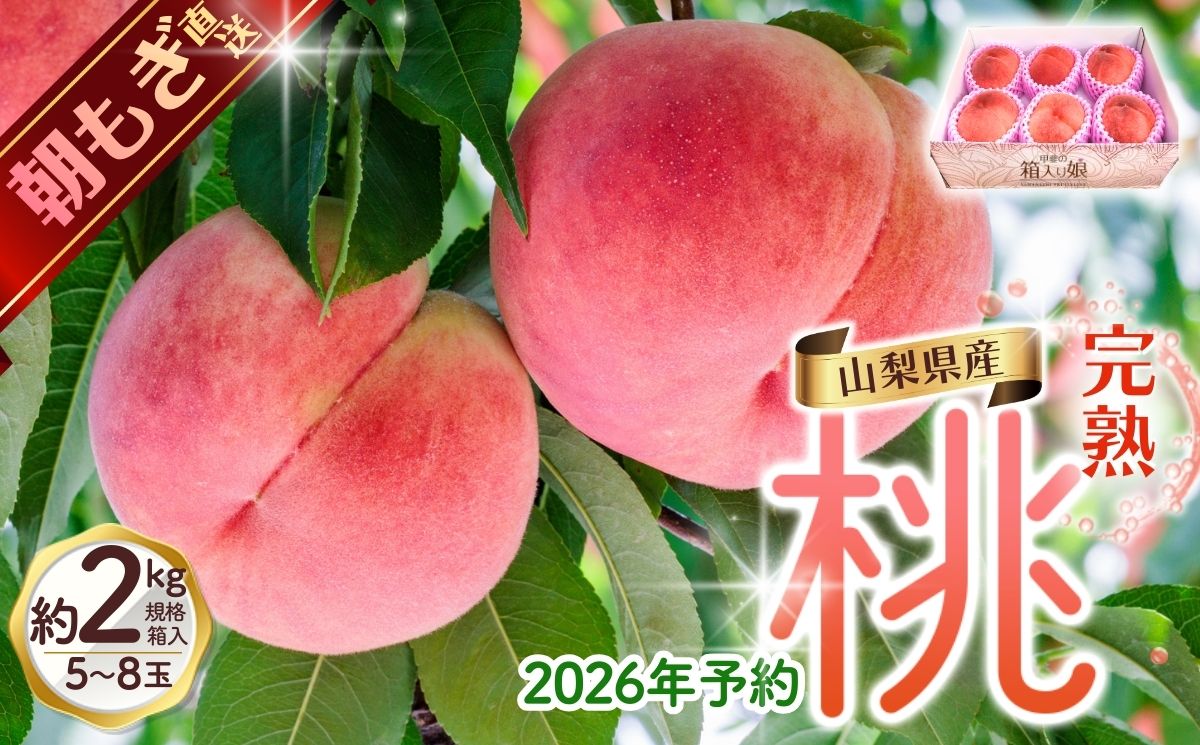 【来年2026年出荷分 先行予約】朝もぎ直送!『山梨県産　桃』約5～8玉 約2kg規格箱入り【高機能共選機使用】選び抜かれた桃《 もも 》　山梨県産 モモ/ フルーツ 果物 くだもの 人気 産地直送/厳選  贈答 贈り物  [2026年から値上げ予定]【tab0182-2026】