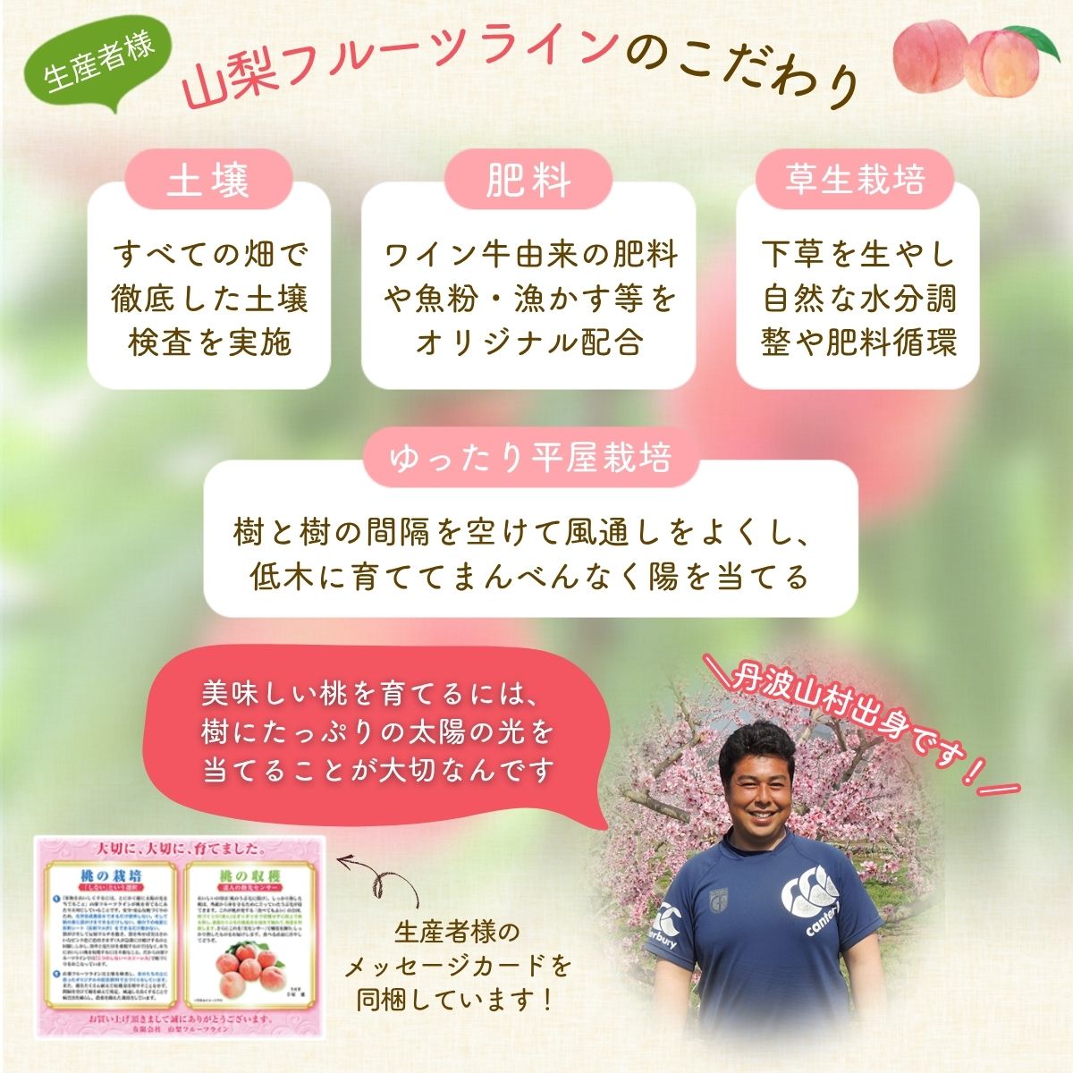 ãå
è¡äºçŽãæããçŽé!ã山梚çç£ãæ¡ãçŽ5ïœ8ç çŽ2kgèŠæ Œç®±å
¥ãã髿©èœå
±éžæ©äœ¿çšãéžã³æãããæ¡ã ãã ãã山梚çç£ ã¢ã¢/ ãã«ãŒã æç© ãã ãã® äººæ° ç£å°çŽé/å³éž èŽç èŽãç© ãtab0182ã