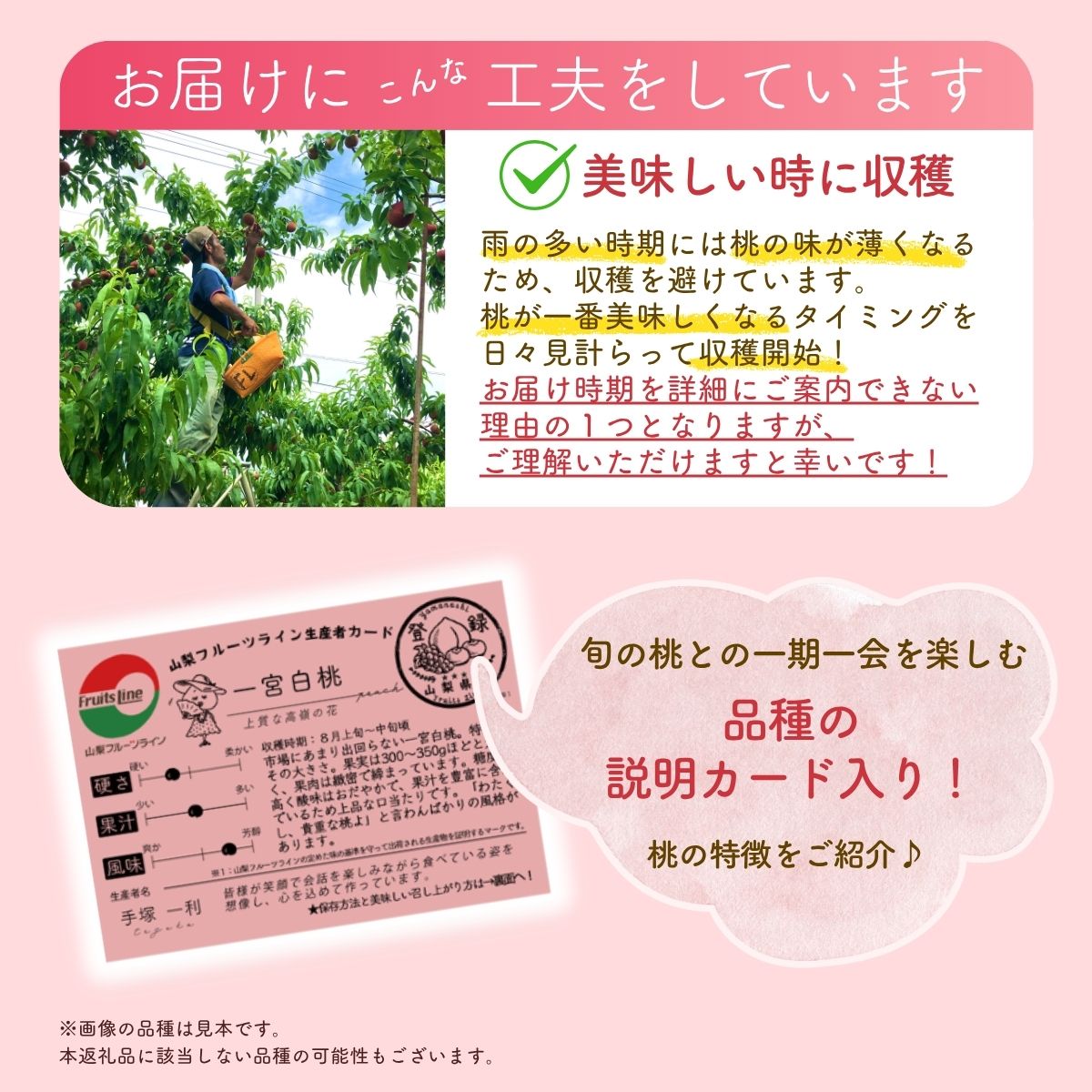 ãå
è¡äºçŽãæããçŽé!ã山梚çç£ãæ¡ãçŽ5ïœ8ç çŽ2kgèŠæ Œç®±å
¥ãã髿©èœå
±éžæ©äœ¿çšãéžã³æãããæ¡ã ãã ãã山梚çç£ ã¢ã¢/ ãã«ãŒã æç© ãã ãã® äººæ° ç£å°çŽé/å³éž èŽç èŽãç© ãtab0182ã