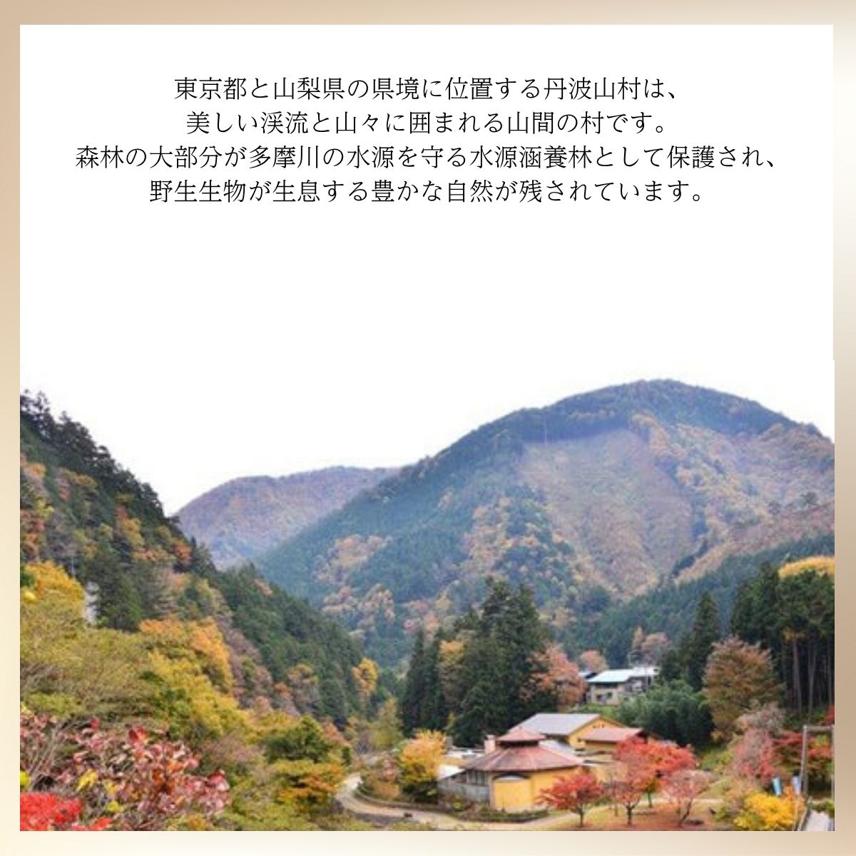 【数量限定】 【260本】 シェリー樽熟成 じゃがいも焼酎 七ツ石 720ml × 1本 度数 25度 / 玉川麻衣・画 特別酒瓶仕様 限定品 芋焼酎 ハイボール ギフト 贈答品 お歳暮 父の日 ふるさと納税 送料無料【tab0224】