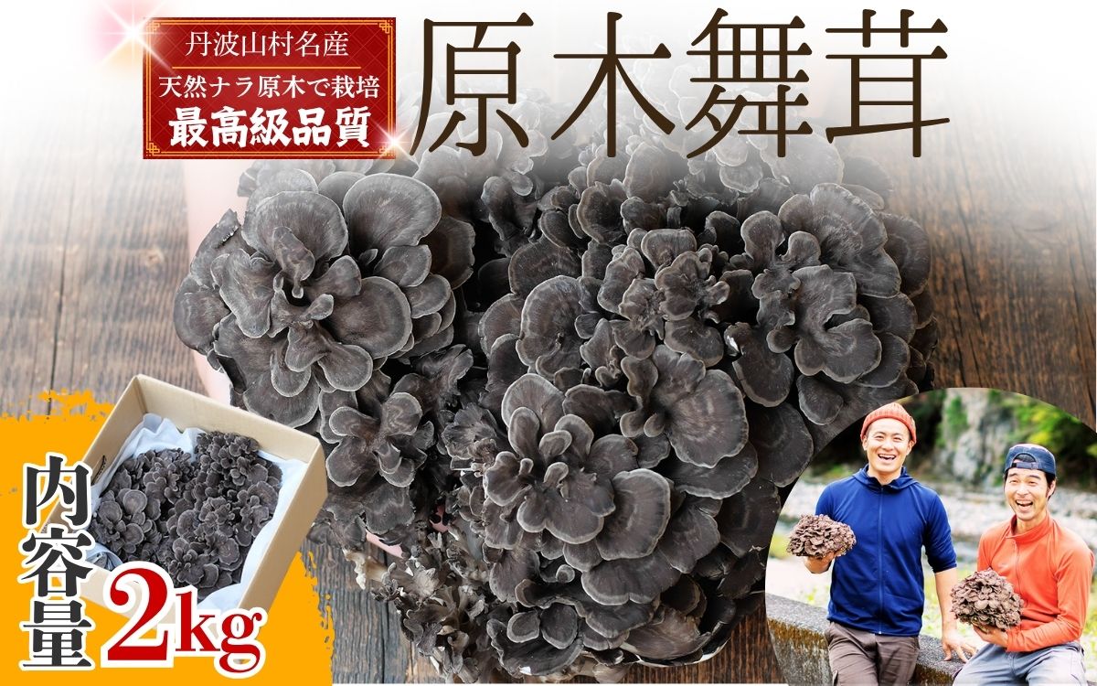 【2026年発送分先行予約】丹波山村産 原木舞茸 約2kg 2026年秋頃より順次発送予定 / 丹波山名産 希少 無農薬 無添加 舞茸 まいたけ マイタケ 原木栽培 きのこ キノコ 産地直送【tab0225-2000】