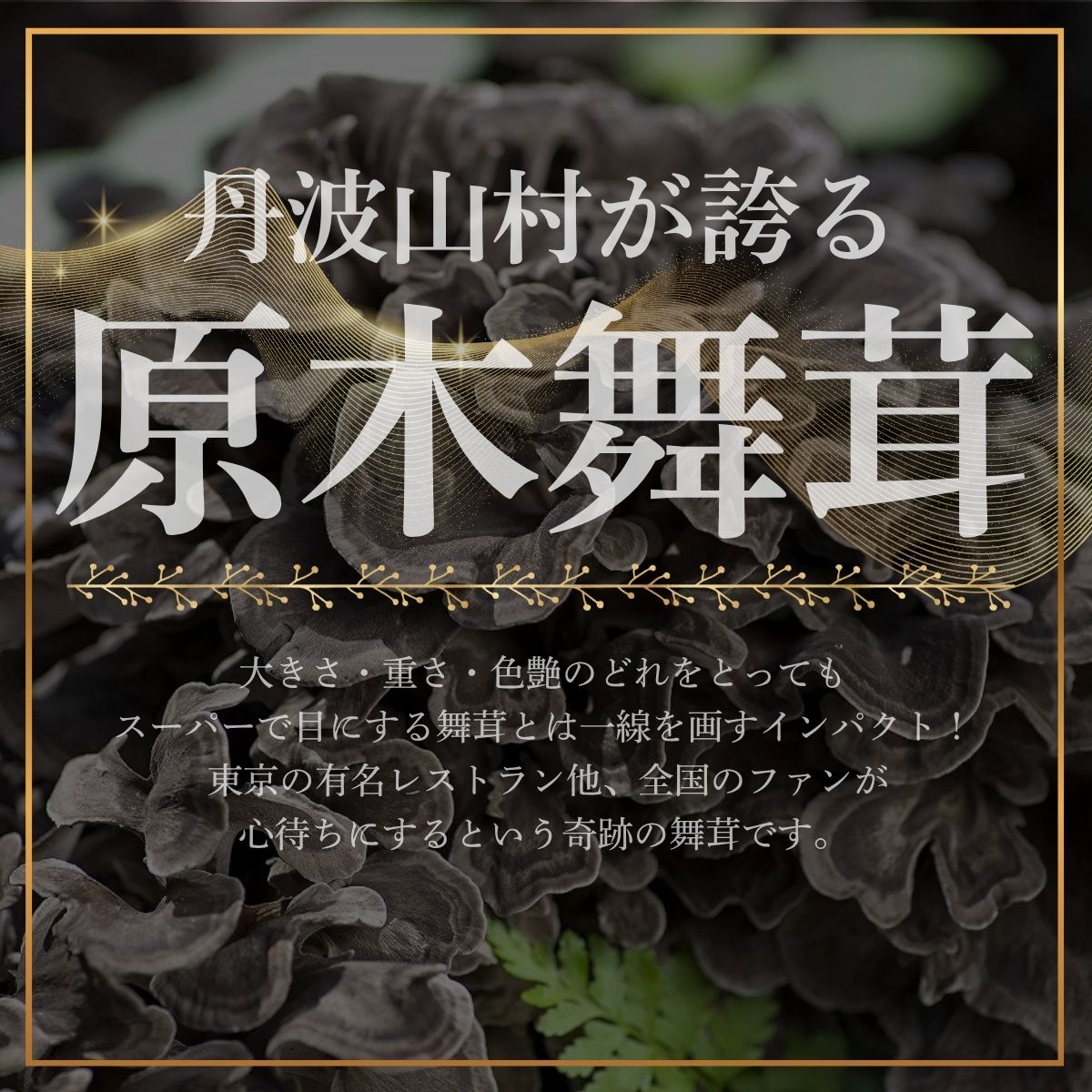【2026年発送分先行予約】丹波山村産 原木舞茸 約450g 2026年秋頃より順次発送予定 / 丹波山名産 希少 無農薬 無添加 舞茸 まいたけ マイタケ 原木栽培 きのこ キノコ 産地直送【tab0225-0450】