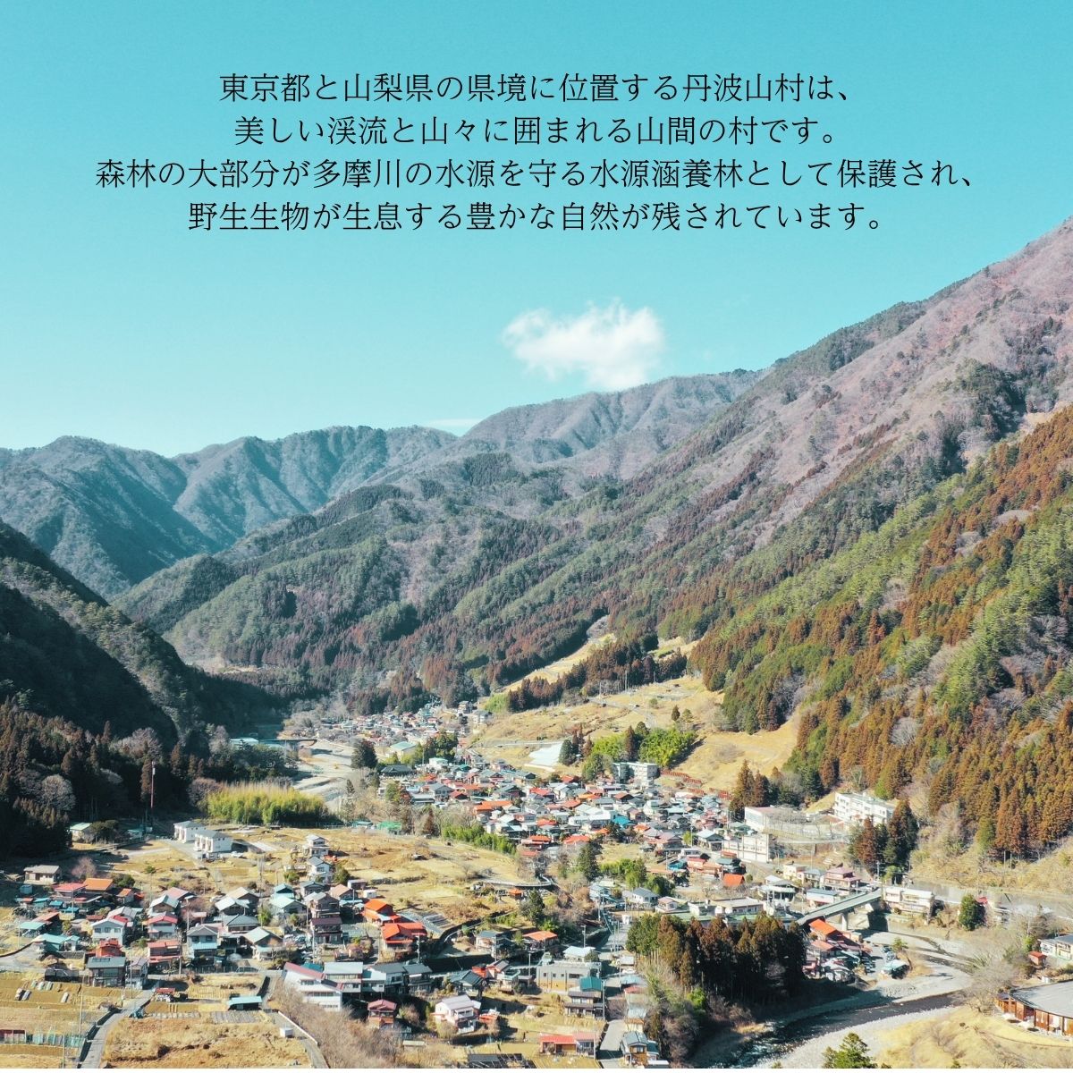 倧人æ°ã€ãã³ã ããã¿ã¹ããŒãäž»å¬ã NEOç¡å°œäŒïŒãããããïŒ ã åå åž 1æ / ã 2026幎10æ24æ¥ïŒåïŒéå¬ã 山梚ç 䞹波山æ ãã§ã¹ 鳿¥œ ããŒã¯ ã°ã«ã¡ ãžããš ã€ãã³ã åž å
¥å Ž èŠ³å
æ
è¡ åœå
æ
è¡ éå€ å±å€ äœéšãtab0249ã