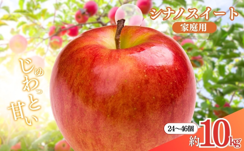 矢島農園　 長野市産 シナノスイート 家庭用 10kg(24～46玉)サイズふぞろい【2026年10月下旬頃発送予定】 |  りんご フルーツ 果物 人気 おすすめ ギフト プレゼント 送料無料 長野県 長野市 信州 信濃 ふるさと納税