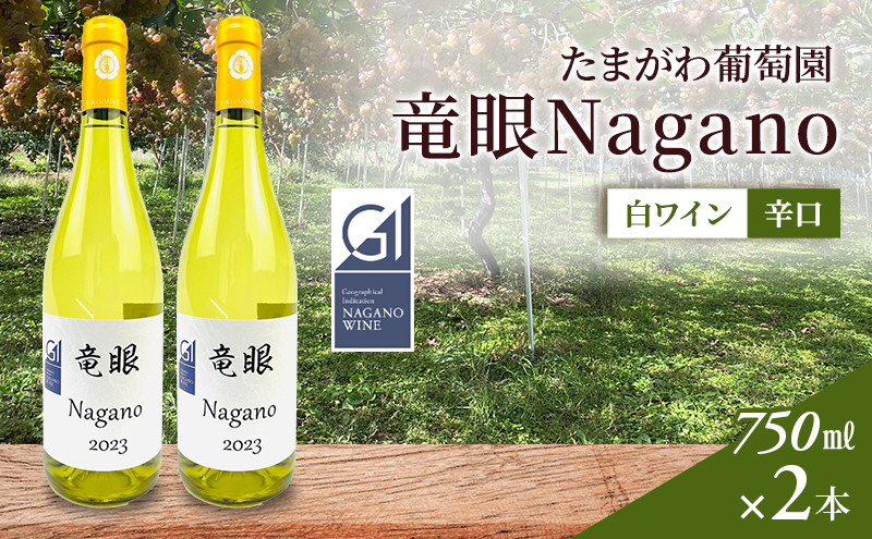 ワイン　竜眼Nagano　【GI長野】認定　750ｍｌ×2本 | 白ワイン お酒 酒 竜眼 長野市産 人気 おすすめ 辛口 フルーティー ワイナリー 葡萄 ギフト プレゼント 家飲み 飲み比べ 送料無料 長野県 長野市 信州 信濃 ふるさと納税