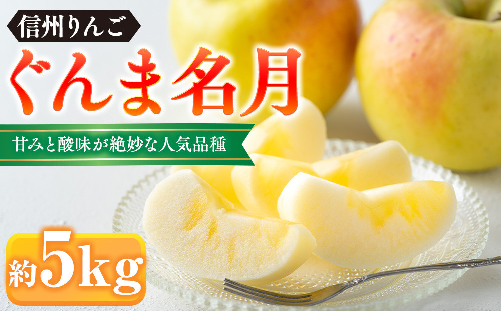 ぐんま名月約5kg（12個～18個） |  りんご フルーツ 果物 旬  ぐんま名月 人気 おすすめ ギフト プレゼント 送料無料 長野県 長野市 信州 信濃 ふるさと納税