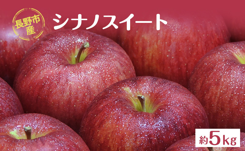 牧野果樹園　長野市産「シナノスイート」約5kg (11~16玉） |  りんご  シナノスイート フルーツ 果物 人気 おすすめ ギフト プレゼント 送料無料 長野県 長野市 信州 信濃 ふるさと納税