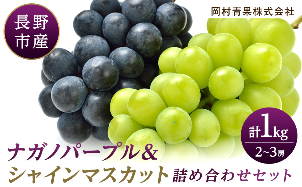 金オ岡村青果株式会社　長野市産 ナガノパープル＆シャインマスカット詰合せ１kg【2026年9月以降出荷分】フルーツ ぶどう 葡萄 果物 人気 種なし 新鮮 期間限定 令和8年 2026年発送 |  シャインマスカット ぶどう フルーツ 果物 人気 おすすめ ギフト プレゼント 送料無料 長野県 長野市 信州 信濃 ふるさと納税