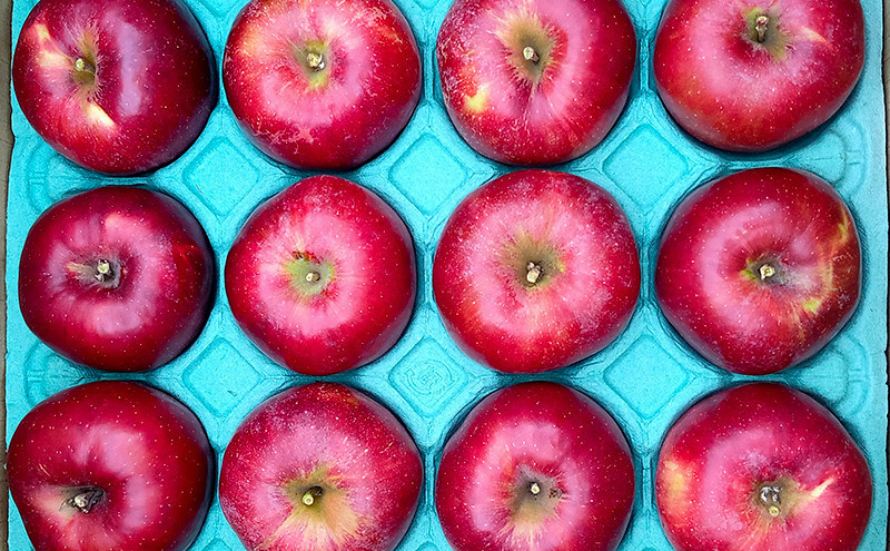 ç§éææš¹åãé·éåžç£ãçŽ
çãçŽ2.7kg(9ç~14çå
¥ãïŒ | ããã çŽ
ç ãã«ãŒã æç© äººæ° ãããã ã®ãã ãã¬ãŒã³ã éæç¡æ é·éç é·éåž ä¿¡å· ä¿¡æ¿ ãµãããšçŽçš