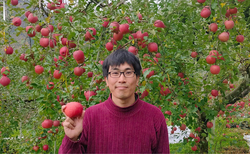 ç§éææš¹åãé·éåžç£ãçŽ
çãçŽ2.7kg(9ç~14çå
¥ãïŒ | ããã çŽ
ç ãã«ãŒã æç© äººæ° ãããã ã®ãã ãã¬ãŒã³ã éæç¡æ é·éç é·éåž ä¿¡å· ä¿¡æ¿ ãµãããšçŽçš