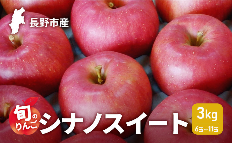 2026年発送　長野市産　旬のりんご　シナノスイート3kg　6玉～11玉 りんご リンゴ 果物 フルーツ 秋